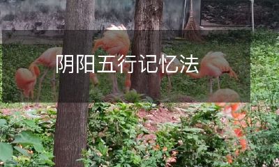 如何利用阴阳五行记忆法来提升记忆能力和加深对自然界规律的理解?