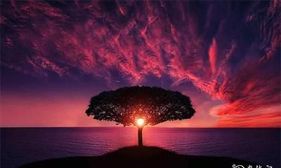 揭秘两位食神和一位正官的喜好和厌恶特征:了解食神吃什么、不吃什么,让你FLAT掉!