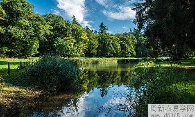 布局,让财运旺旺旺!