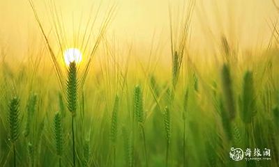 如何判定出生于几月的人拥有好命?探析癸未日柱一生的吉凶运势