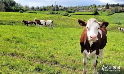 购房指南:73年属牛人住3楼的注意事项,为您解答买房时的疑惑