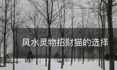 如何正确选择风水灵物来吸财运:招财猫选购指南