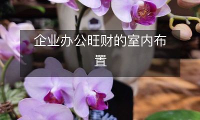 如何布置室内环境才能让企业办公室变得更加舒适、高效?——探讨旺财公司的室内布置案例