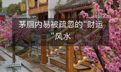 茅厕内被忽略的财运风水:探寻如何在厕所中获得财运之道