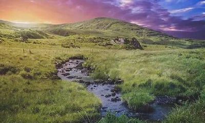 如何使用仅10粒米实现招财致富:详细介绍10粒米招财法的实践方法