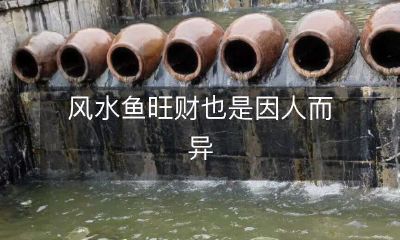 不同人不同命格:风水鱼的旺财效果存在个体差异