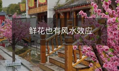 鲜花在风水文化中也扮演重要角色:探讨鲜花“生气”、“旺财”、“恋爱桃花”的风水功效