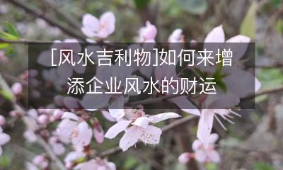 通过选择适宜的风水吉利物,如何增强企业风水的财运能力?