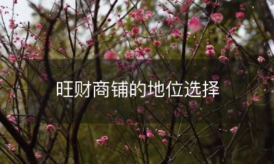 在商业竞争激烈的市场中,如何优化旺财商铺的地位选择成为关键问题
