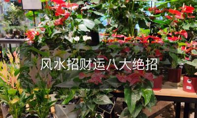 掌握风水运势的八个最有效方法,帮你招财进宝!