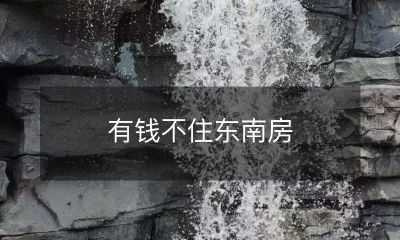 发,年薪百万却不在东南房地产投资,是明智的决策吗?