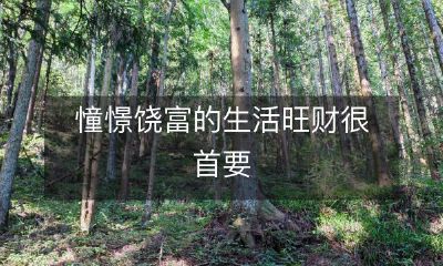 追求富足生活,崇尚财富乃至物质奢华,成为确保财富流动、生活愉悦,甚至达到自我实现的重要前提