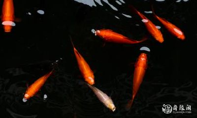 流产者寻求居所解决方案:探讨打完胎后的迷信信仰和传统风俗