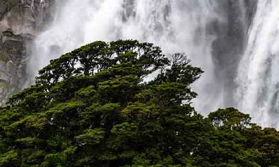 财神降临之前的预兆:暗示巨大财运即将到来的几大标志