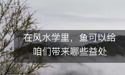 风水学中,养鱼可以带来哪些正面的影响和益处?
