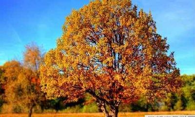 探究赌运差背后的原因和解决方法:如何破解自己的赌运差,让运气变得更好?