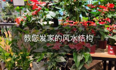 探讨如何利用风水结构达成家宅财富自然增长的实用指南