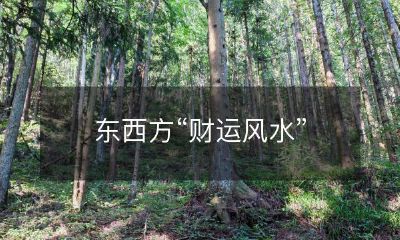 的文化差异及其在现代商业中的应用和影响