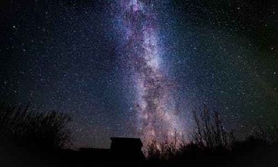 探讨官员与杀手的混合模式:其下等命的命运如何受此影响? 官杀混杂: 好事还是坏事?