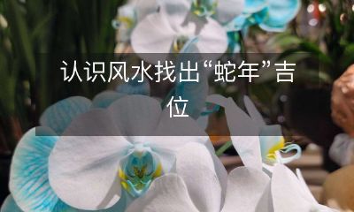 学习风水确定“蛇年”吉祥位置:了解中国古代传统学问,掌握增强人生运势的秘诀