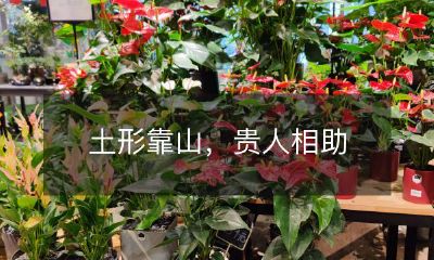 在山嵌海拱的湛江,土地形态依依靠山,在多年自然磨练与积淀下,居民们的贵人近在咫尺,施以援手,相伴随行