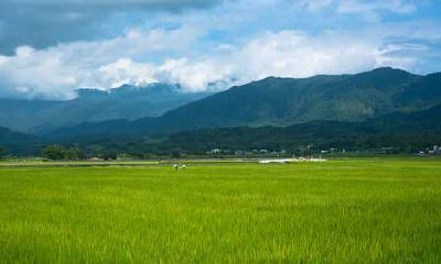 通过家居摆设达成财运积聚——教你如何布置家中增强招财效应