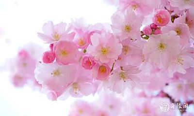 不佳,常常陷入困境 - 佛经中对于外貌吸引力的人所遭遇挫折和不幸的探讨