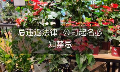 在公司起名时务必避免违反法律规定的禁忌,这是必须了解的重要事项!