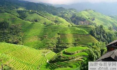 讨论四大风水宝宝:龙鱼、锦鲤、鲶鱼科等,你知道它们分别有哪些品种吗?