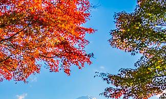 避免坐背门而言:从风水角度谈办公室摆设的原则与注意事项