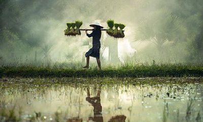 哪些星座男具备自作多情的特质,表现出过度浪漫的行为?