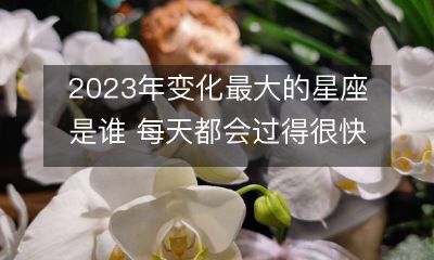 哪个星座在2023年将经历最大的变化,并且每天都会过得非常快乐?