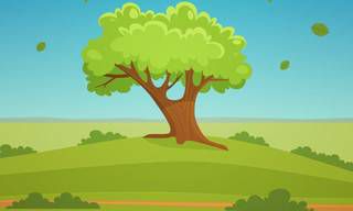 揭秘:哪些星座拥有飞黄腾达的财富,常常迎来喜庆的人生境遇?