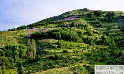 有哪些能够提升桃花运的有效风水调整方法?