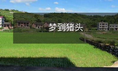 梦见自己头变成一只猪头,惊慌失措的经历与心理揣度