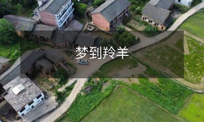 在我熟睡之际,心灵深处的幻想呈现出奔腾的羚羊乘风而来的场景