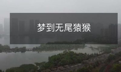 做梦时目睹一只长着尾巴却无尽尾猴的奇特景象