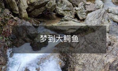 在梦中遭遇巨型鳄鱼的恐怖经历:一名游泳者的梦境启示录