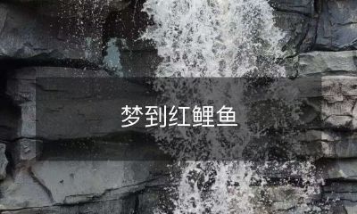 游荡在夜空中,膨胀的鳞片折射着绚烂的星光 -- 倾诉人心的梦境中的红鲤鱼