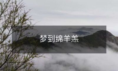 入梦羊羔:探索梦境中羊群的秘密与象征意义