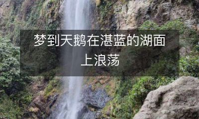 梦见湛蓝湖面上翩翩起舞的天鹅游荡漫步