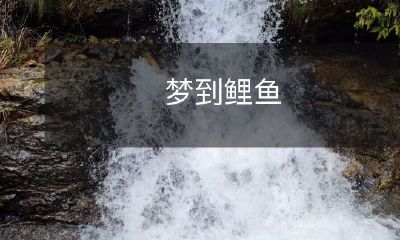 在清晨醒来时回忆着细腻柔和的鱼鳞和它那优雅生动的游动姿态,关于梦到鲤鱼令人意犹未尽的美好想象和心灵启示