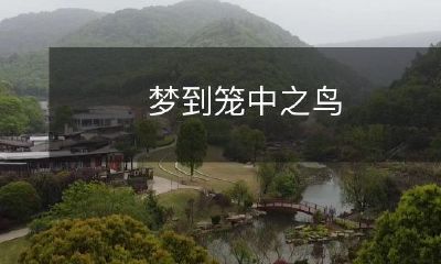 如何理解梦中困在笼中的自己,像一只鸟一样寻找自由?