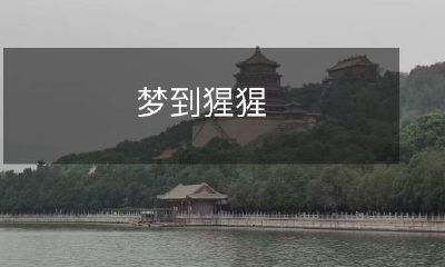 在梦中遇见猩猩:探讨潜意识中的人类和动物联系的象征意义