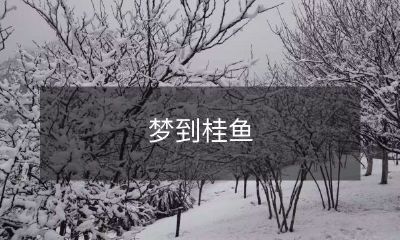 细腻入微的梦幻之旅:睡梦中的桂鱼穿越时空,带您感受意境与现实的无缝连接