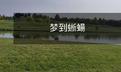 在梦中遇见了神秘的蜥蝪,引发无数疑惑和探究