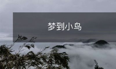 在梦中与小鸟共舞:探究梦境与心理符号的神秘之旅
