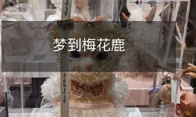 在雪野里徘徊:一场神秘而美妙的夜间梅花鹿邂逅之旅