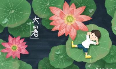 分析:探讨在大暑这一特定时期出生的人的性格特点!