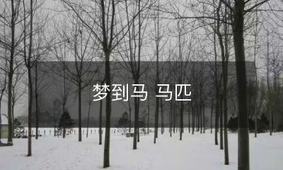 出现在我的梦境中,令我感到震惊和敬畏:令人难以置信的奇妙马 匹的梦境